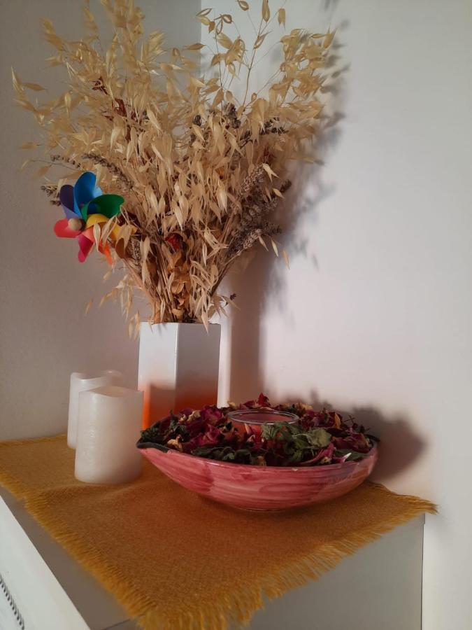 Apartmani Gracela Vodice Buitenkant foto